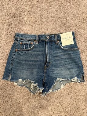 NWT Abercrombie & Fitch The Mom Short High Rise Distressed Denim Shorts, Sz 29/8